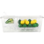 Chilled Condiment Holder including 1xGN1/3+1xGN1/6-100mm containers with lid Plastic | Adexa CHP06B3